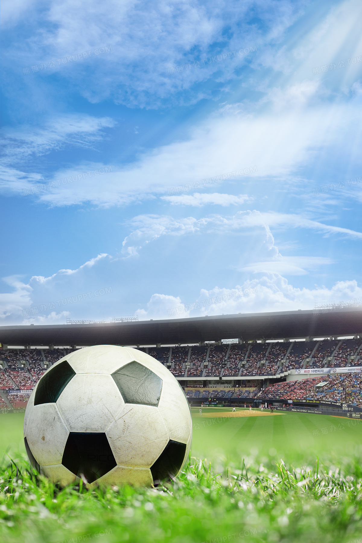 盘点2024德国欧洲五大联赛最新赛程比分直播_英超/西甲/意甲/德甲/法甲全追踪杯十大球场和赛程