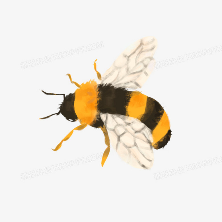 卡通手绘小蜜蜂免抠元素png图片素材下载_蜜蜂png_熊猫办公