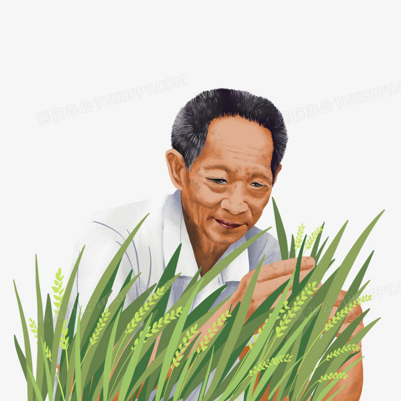 《卡通手绘袁隆平院士和水稻元素》,使用 adobe photoshop cc软件制作