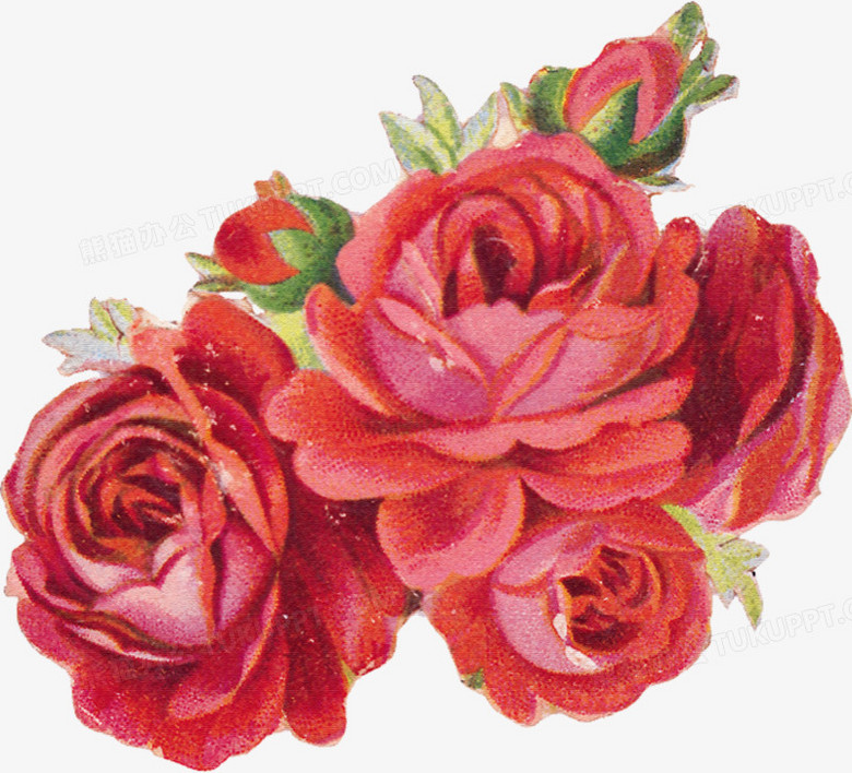 中国风国花红色牡丹