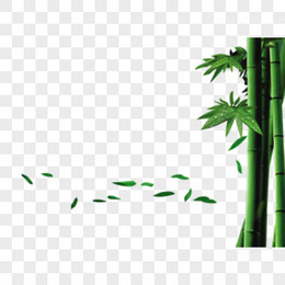 绿竹手绘图片  端午竹子落叶