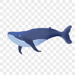 手绘卡通免扣动物鲸鱼元素