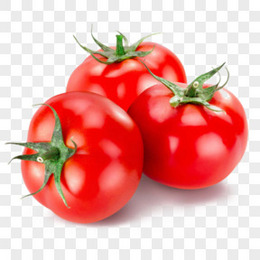 番茄小说可以下载下来看吗 260