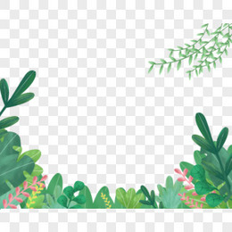 手绘卡通精美的植物背景边框
