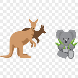 澳大利亚袋鼠考拉