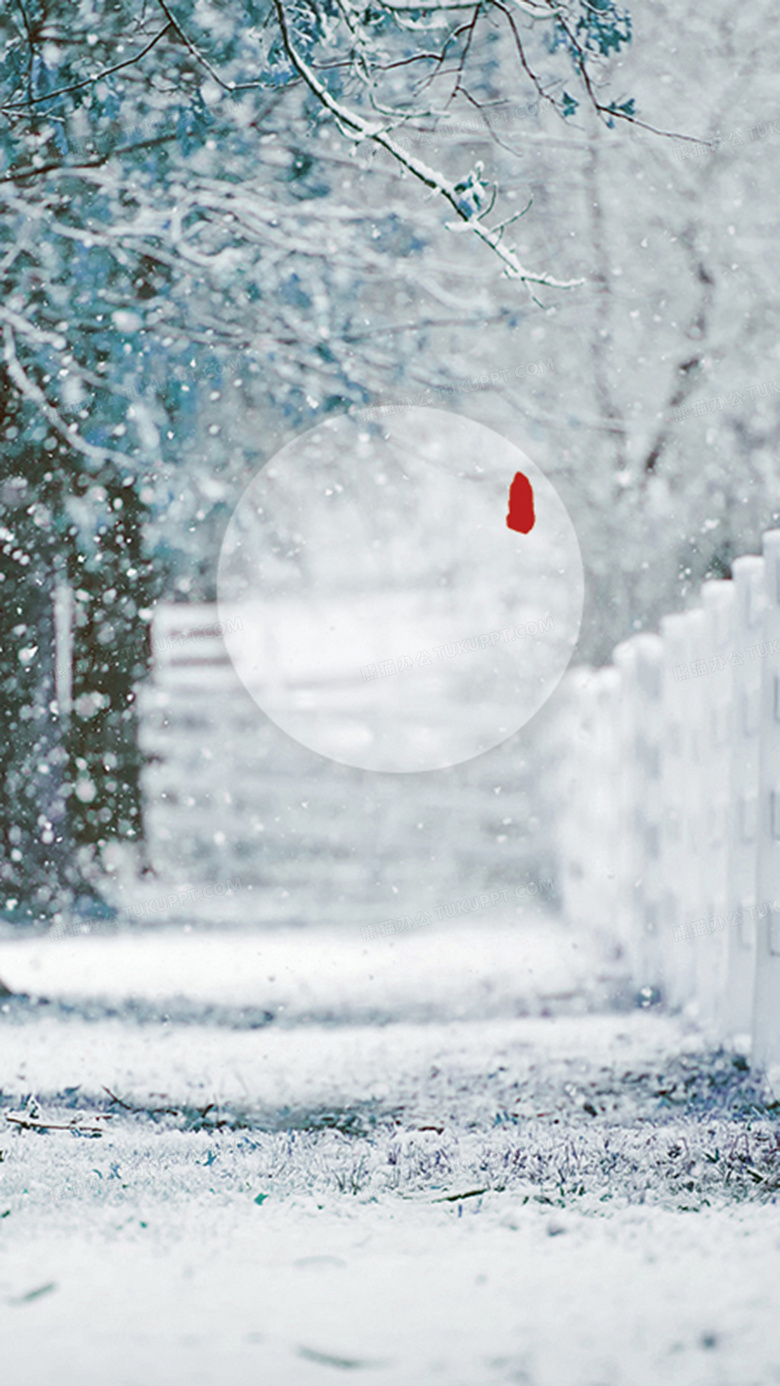 银色雪花唯美冬季大寒背景素材