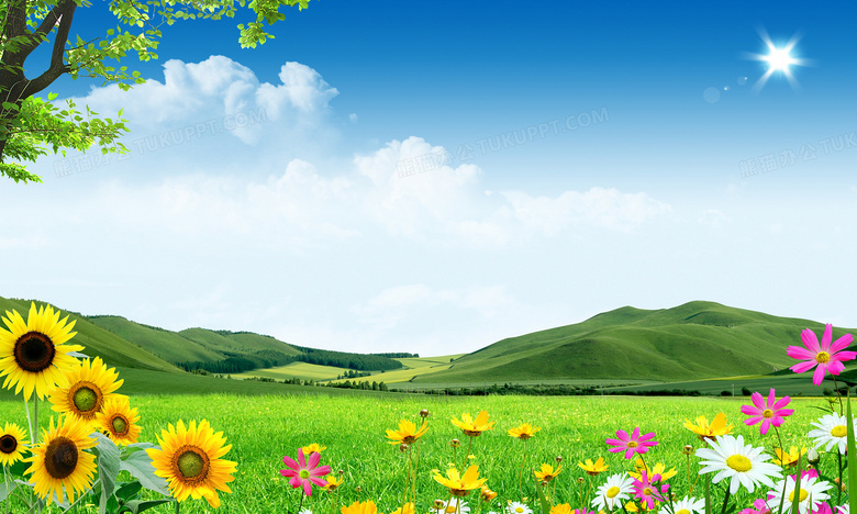 草原蓝天白云向日葵风景绿山背景图片素材免费下载__*