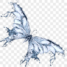 蝴蝶 蓝色 喷溅 矢量 水滴 水蝴蝶矢量素材 水蝴蝶模板下载