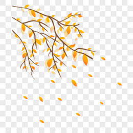 手绘秋季树叶落叶免扣元素