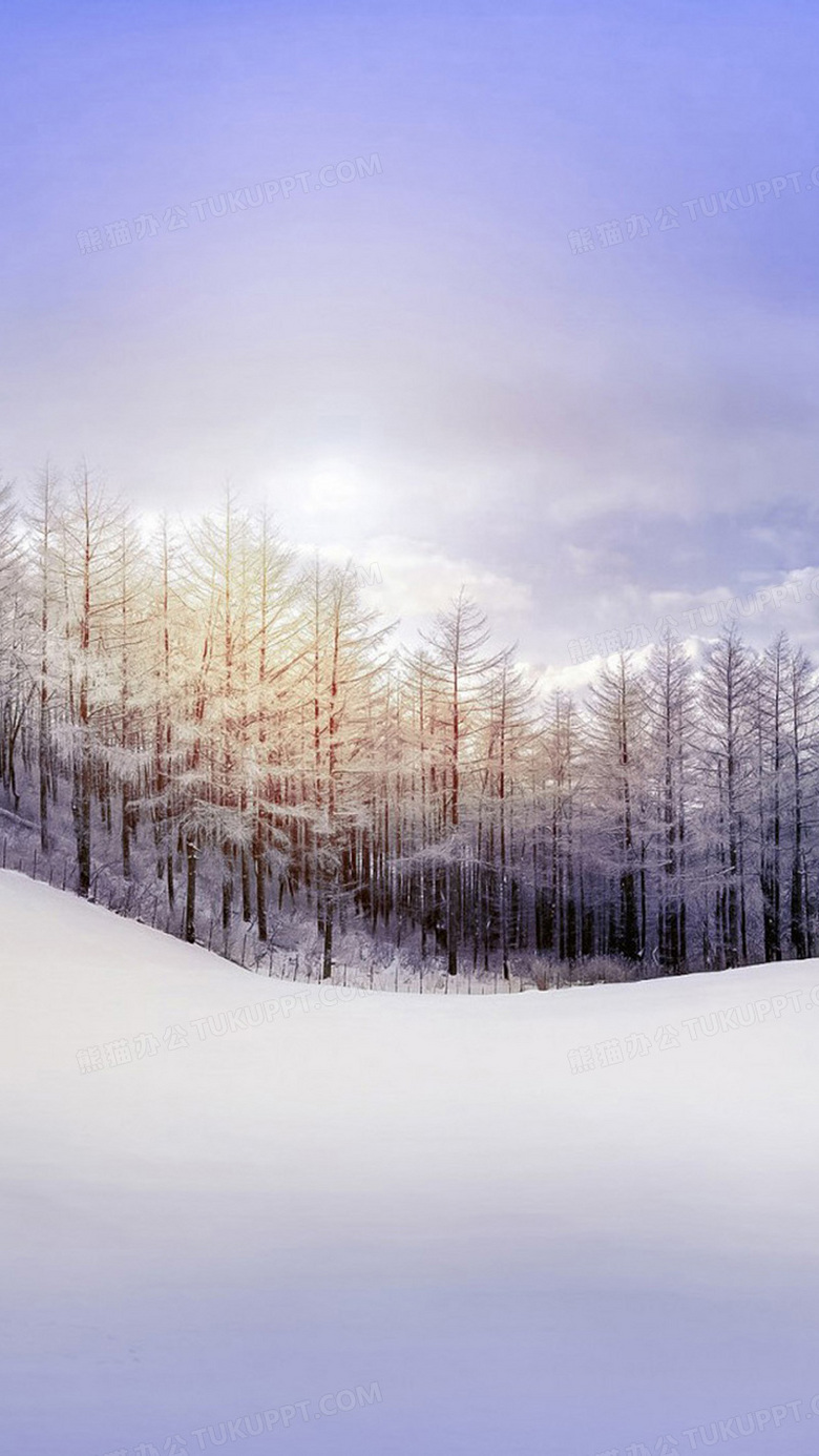雪地上的树林h5背景背景图片素材免费下载_雪地背景_*