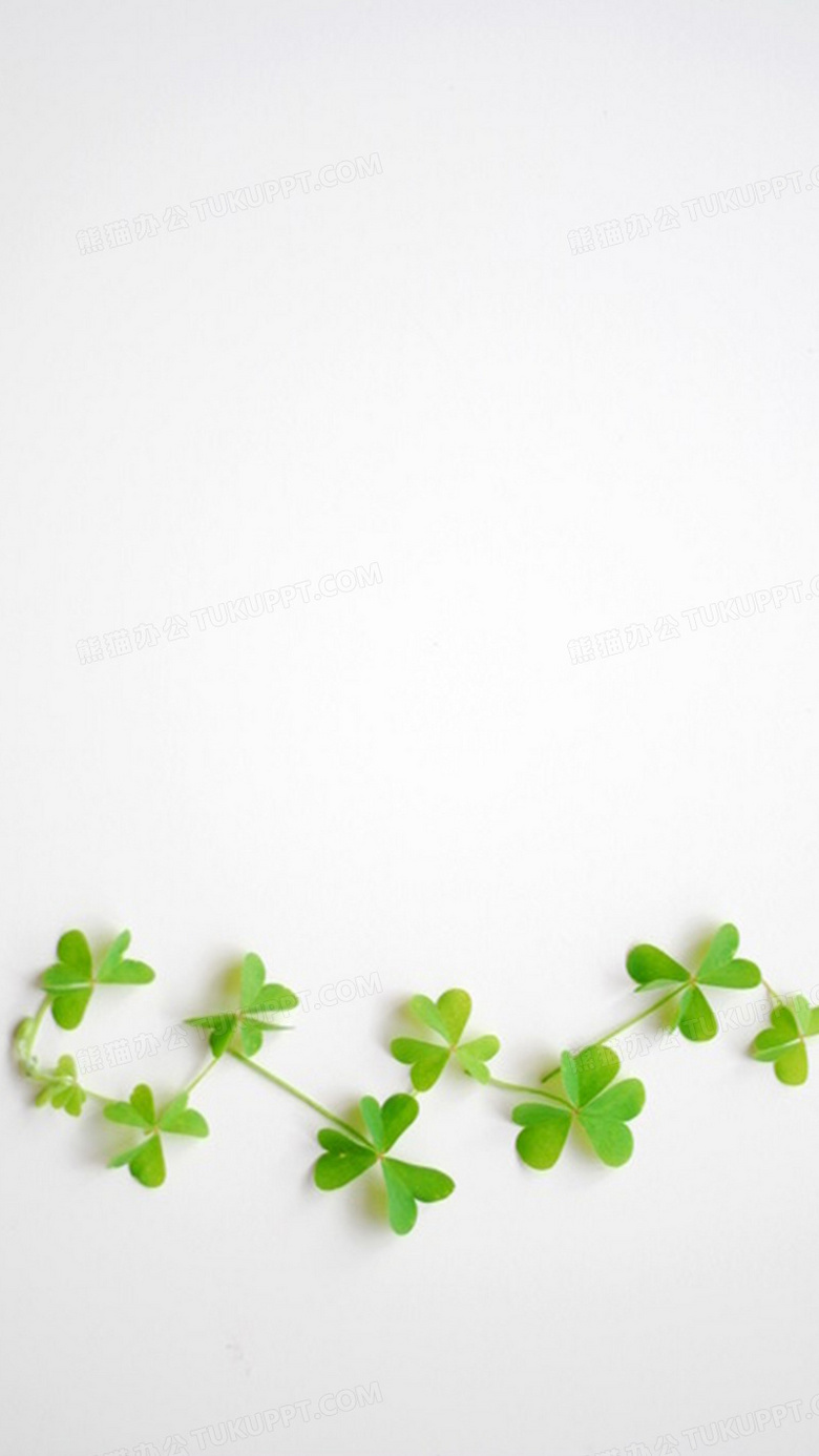 四叶草绿色h5背景
