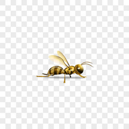 黄蜂蜜蜂Flower-icons