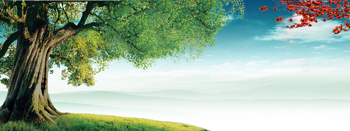 女生提升自己的证书合集可领补贴（26年最新版）OD体育官网- OD体育APP下载- 世界杯指定投注平台