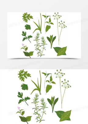 中草药图片视频 288x407