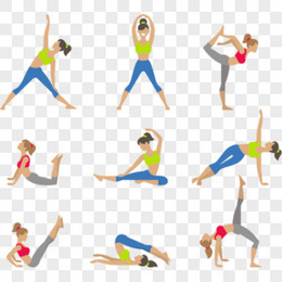 练瑜伽的女性动作矢量素材,瑜伽,