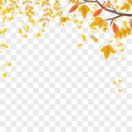 秋天金黄色的落叶免抠素材