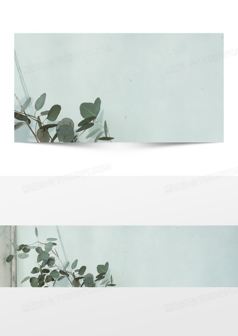 小清新植物淘宝海报背景