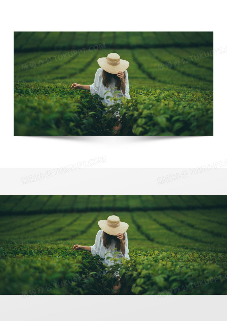 风景采茶女背景