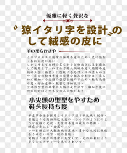 小清新淘宝 海报文案 字体设计  日文文案 日系小清新