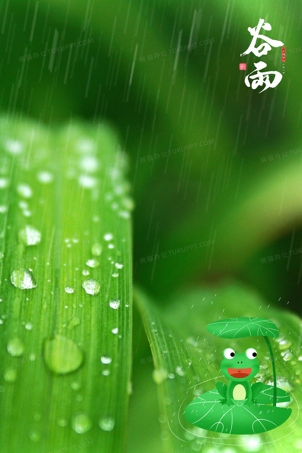 谷雨短剧免费，探索数字时代的文化新潮流