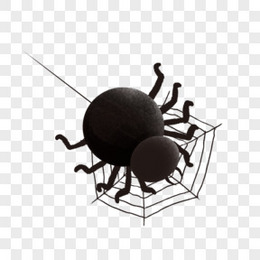 卡通手绘昆虫蜘蛛虫子元素