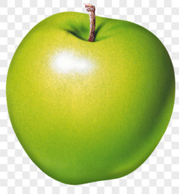 水果素描水果矢量图 精美青苹果