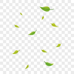 绿色树叶落叶漂浮元素