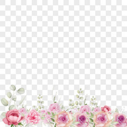 手绘淡雅玫瑰花水粉花丛底边素材