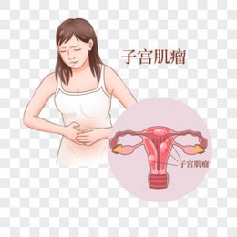 一组手绘孕妇女性医疗疾病科普之子宫肌瘤素材