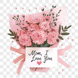 粉色康乃馨花束母亲节鲜花礼物免抠元素