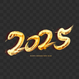 2025金色字体设计