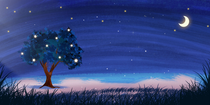 手绘夜晚星空树林插图