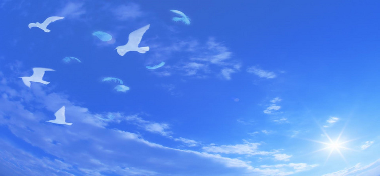 蓝天白云和平鸽背景