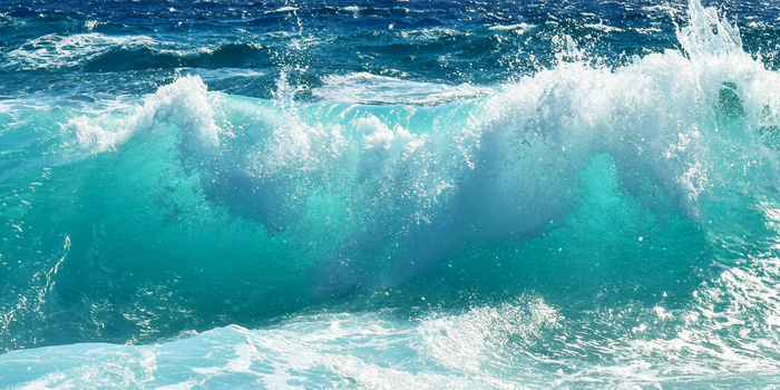 海水水花浪花