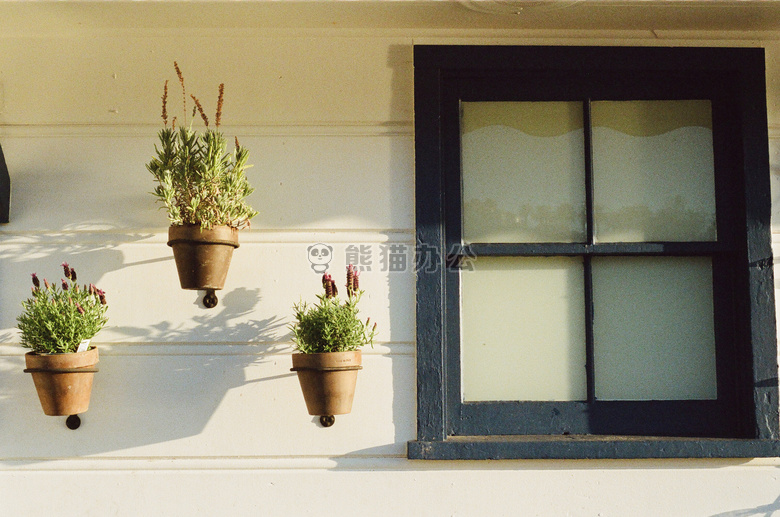 花盆 房子 窗口