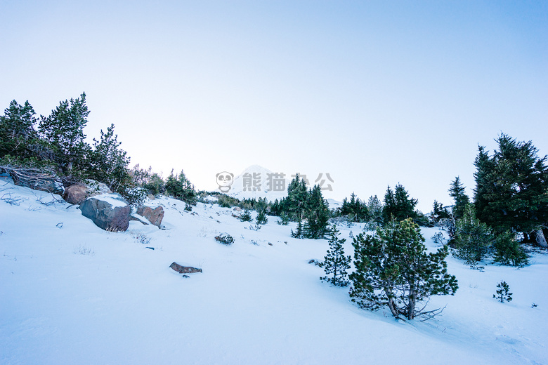 山 雪 冬天