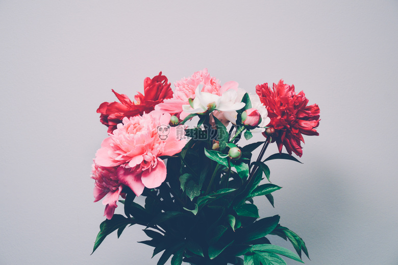 电灯泡 花 叶