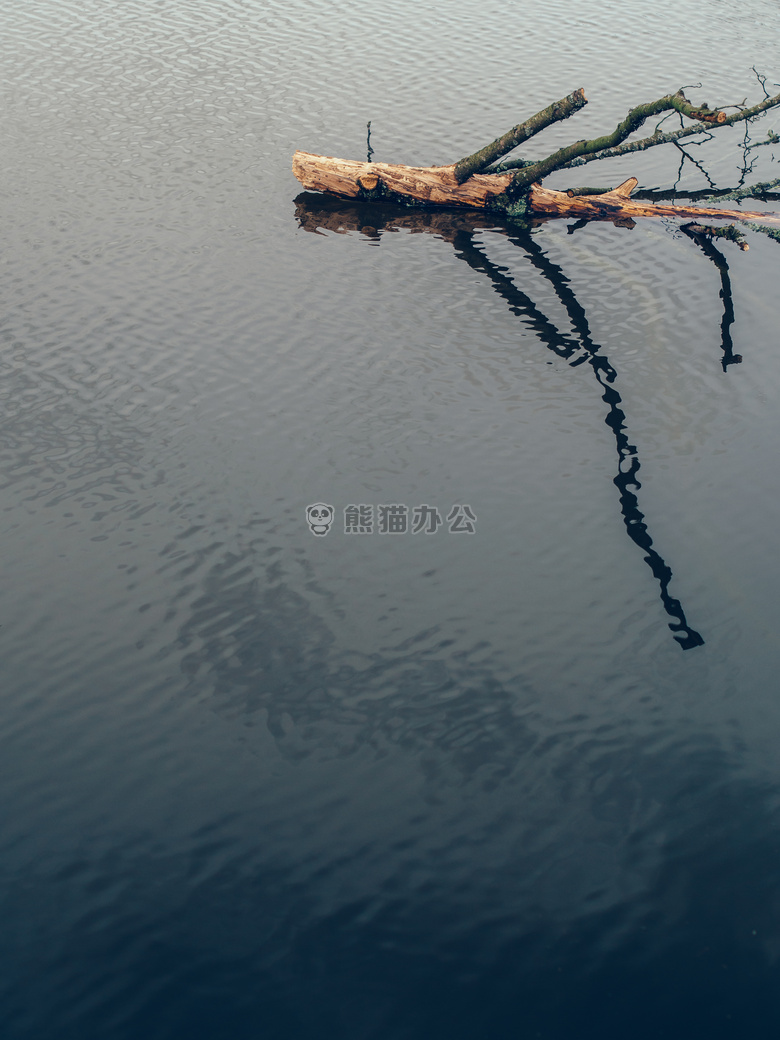 死去的 浮动 自然