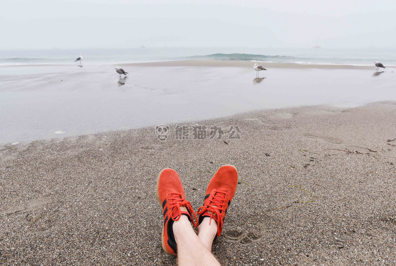 海滩 脚 假日