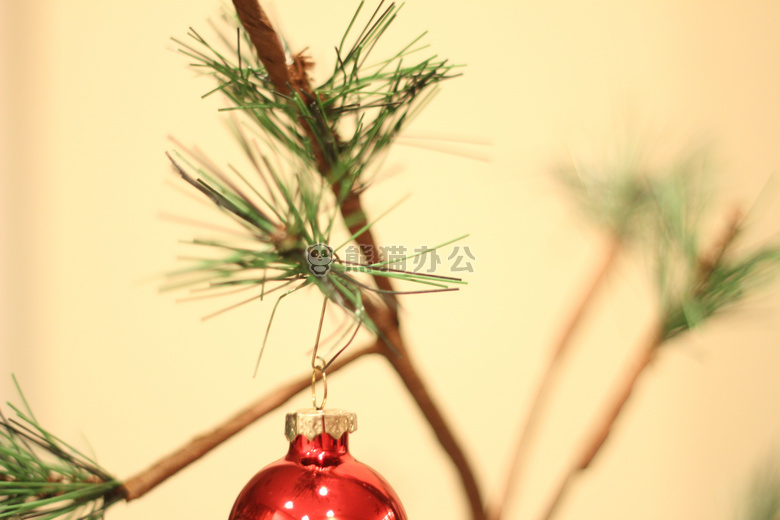 圣诞节 树 装饰