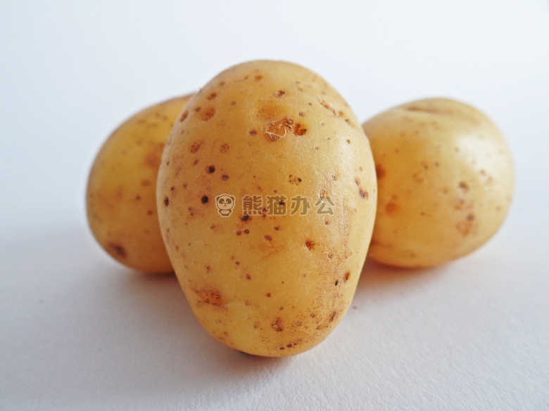 农业 生物 碳水化合物