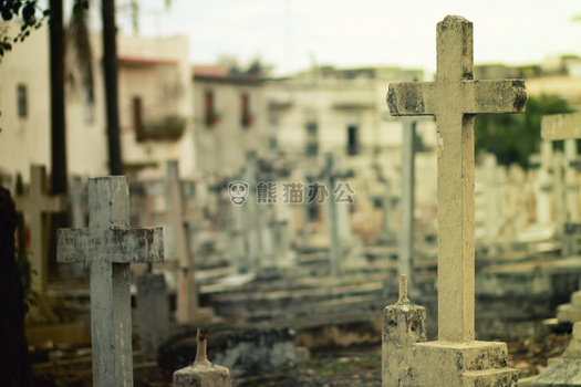 墓地 十字架