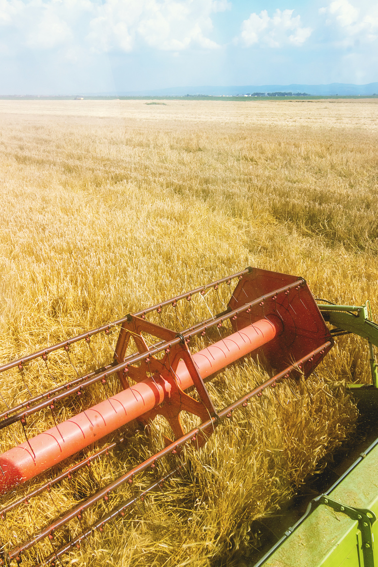收获季节麦田里的农业机械高清图片