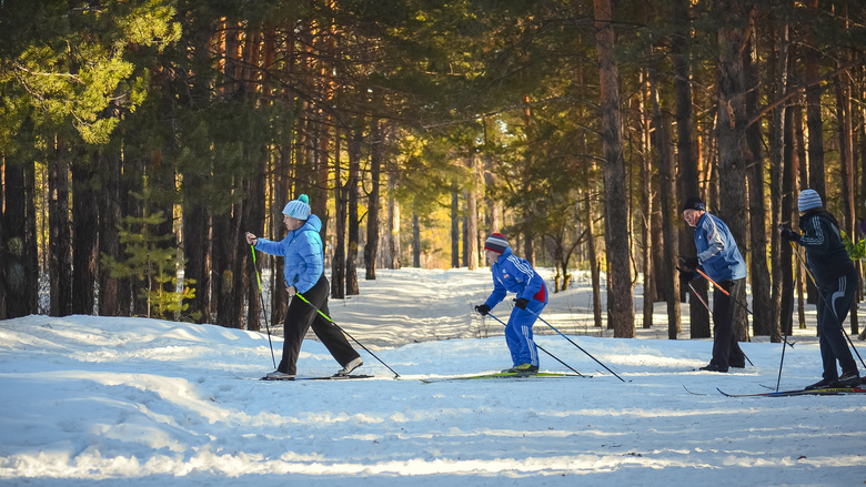 树林中的滑雪运动人物摄影高清图片