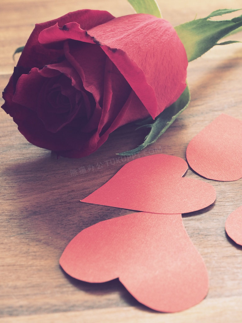 红色桃心纸与玫瑰花朵摄影高清图片