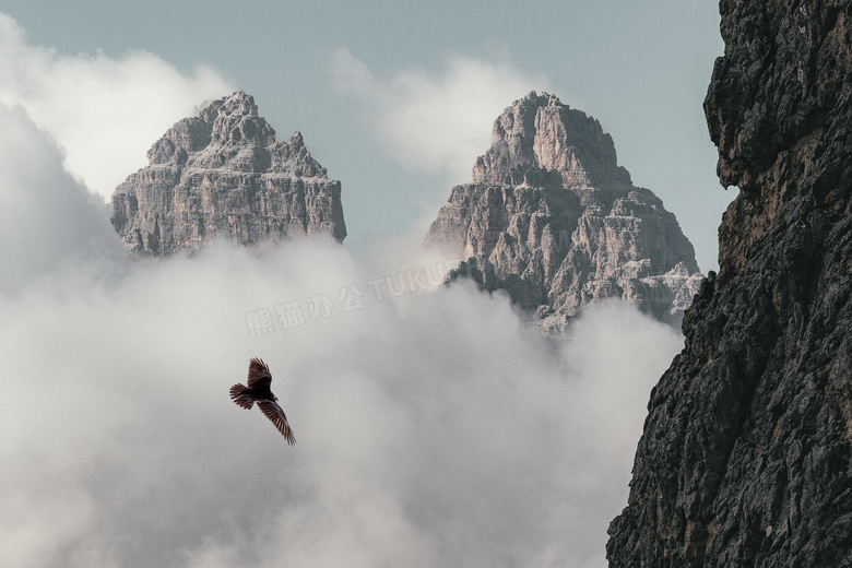 翱翔于群山之间的老鹰摄影高清图片