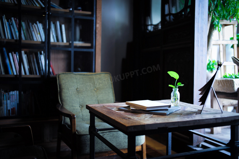 房间书架与桌上的植物摄影高清图片