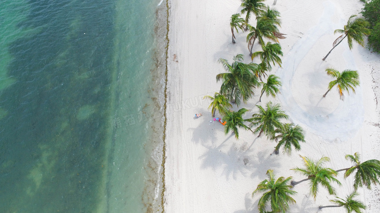 碧绿海水与在沙滩上的椰树高清图片