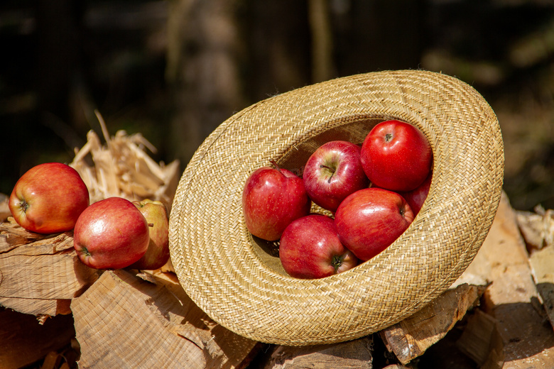 在草帽里的红苹果特写摄影高清图片