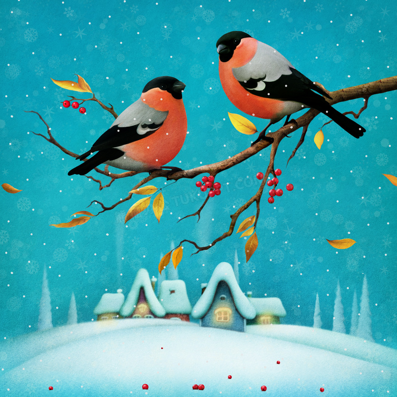 树枝上的两只红腹灰雀插画高清图片